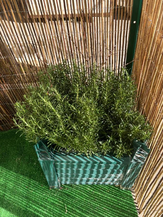Beautiful Apartment With Terrace Centre Nice ניס מראה חיצוני תמונה